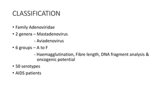 CLASSIFICATION
• Family Adenoviridae
• 2 genera – Mastadenovirus
- Aviadenovirus
• 6 groups – A to F
- Haemagglutination, Fibre length, DNA fragment analysis &
oncogenic potential
• 50 serotypes
• AIDS patients
 