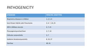 PATHOGENICITY
SYNDROME PRINCIPAL SEROTYPES
Respiratory diseases in children 1, 2, 5, 6
Sore throat, Febrile cold, Pneumonia 3, 4, 7, 14, 21
ARD in Military recruits 4, 7, 21
Pharyngoconjunctival fever 3, 7, 14
Follicular conjunctivitis 3, 7
Epidemic Keratoconjunctivitis 8, 19, 37
Diarrhea 40, 41
 