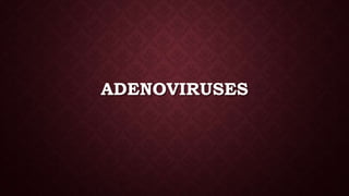 ADENOVIRUSES
 