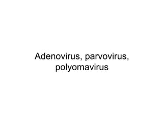 Adenovirus, parvovirus,
polyomavirus
 