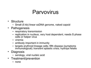 Parvovirus
• Structure
– Small (5 kb) linear ssDNA genome, naked capsid
• Pathogenesis
– respiratory transmission
– replication in nucleus, very host dependent, needs S phase
cells or helper virus
– viremia
– antibody important in immunity
– targets erythroid lineage cells; fifth disease (symptoms
immunological); transient aplastic crisis; hydrops fetalis
• Diagnosis
– serology, viral nucleic acid
• Treatment/prevention
– none
 