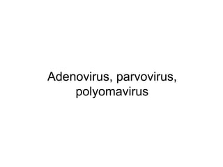 Adenovirus, parvovirus,
polyomavirus
 
