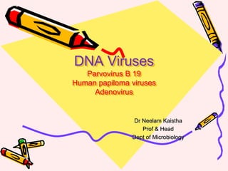 DNA Viruses
Parvovirus B 19
Human papiloma viruses
Adenovirus
Dr Neelam Kaistha
Prof & Head
Dept of Microbiology
 