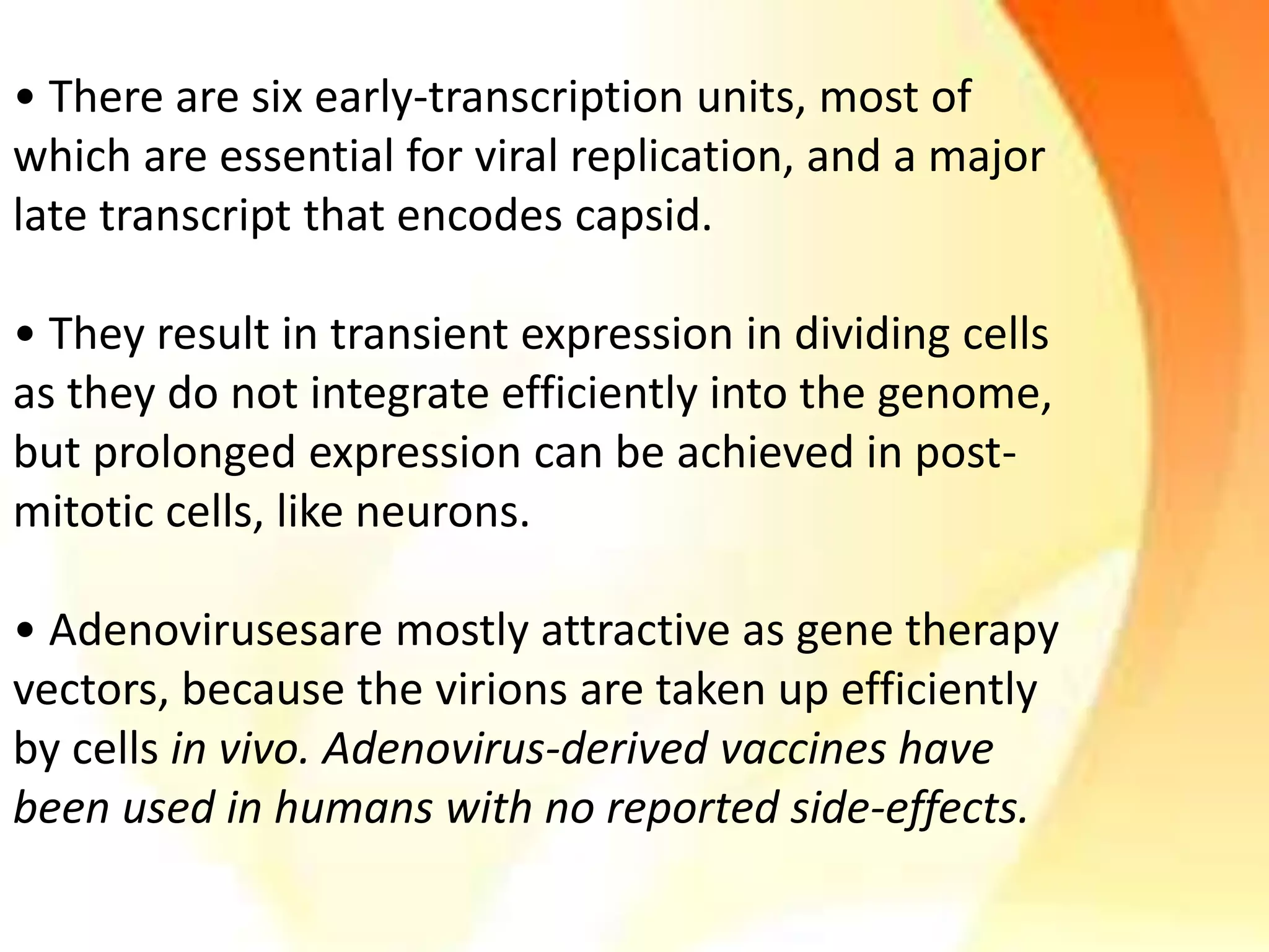 • There are six early-transcription units, most of
which are essential for viral replication, and a major
late transcript that encodes capsid.
• They result in transient expression in dividing cells
as they do not integrate efficiently into the genome,
but prolonged expression can be achieved in post-
mitotic cells, like neurons.
• Adenovirusesare mostly attractive as gene therapy
vectors, because the virions are taken up efficiently
by cells in vivo. Adenovirus-derived vaccines have
been used in humans with no reported side-effects.
 
