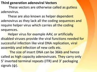 Third generation adenoviral Vectors
These vectors are otherwise called as gutless
adenovirus.
These are also known as helper dependent
adenovirus as they lack all the coding sequences and
require helper virus which carries all the coding
sequences.
Helper virus for example AAV, or artificially
disabled viruses provide the viral functions needed for
successful infection like viral DNA replication, viral
assembly and infection of new cells etc.
The size of insert DNA can be 36kb and hence
called as high capacity adenoviruses. They carry only
5’ inverted terminal repeats (ITR) and 3’ packaging
signals (ψ).
 