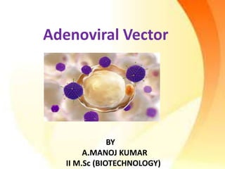 Adenoviral Vector
BY
A.MANOJ KUMAR
II M.Sc (BIOTECHNOLOGY)
 