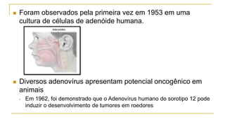  Foram observados pela primeira vez em 1953 em uma
cultura de células de adenóide humana.
 Diversos adenovírus apresentam potencial oncogênico em
animais
• Em 1962, foi demonstrado que o Adenovírus humano do sorotipo 12 pode
induzir o desenvolvimento de tumores em roedores
 