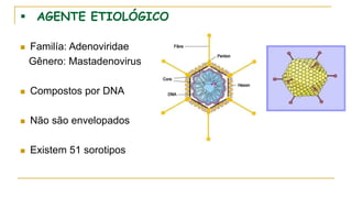  AGENTE ETIOLÓGICO
 Familía: Adenoviridae
Gênero: Mastadenovirus
 Compostos por DNA
 Não são envelopados
 Existem 51 sorotipos
 