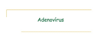 Adenovírus
 