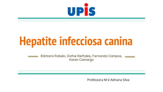 Hepatite infecciosa canina
Bárbara Rabelo, Dafne Kleftakis, Fernanda Campos,
Karen Camargo
Professora M.V Adriana Silva
 