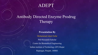 ADEPT
Antibody Directed Enzyme Prodrug
Therapy
Presentation By
Mohammad Adeel Zafar
PhD Research Scholar
Centre for Biomedical Engineering
Indian institute of Technology (IIT) Ropar
Rupnagar, Punjab, 140001
 