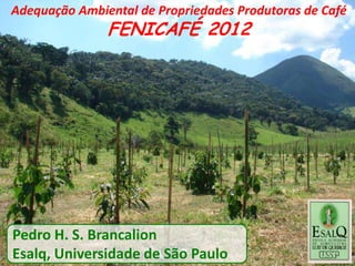 Adequação Ambiental de Propriedades Produtoras de Café
               FENICAFÉ 2012




Pedro H. S. Brancalion
Esalq, Universidade de São Paulo
 