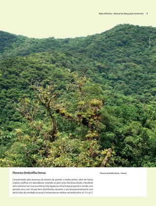 Mata Atlântica - Manual de Adequação Ambiental 7
Floresta Ombrófila Densa
Caracterizada pela presença de árvores de grande e médio portes, além de lianas
(cipós) e epífitas em abundância. Estende-se pela costa litorânea desde o Nordeste
até o extremo Sul.Sua ocorrência está ligada ao clima tropical quente e úmido,sem
período seco, com chuvas bem distribuídas durante o ano (excepcionalmente com
até 60 dias de umidade escassa) e temperaturas médias variando entre 22º C e 25o
C.
Floresta ombrófila densa – Paraná.
MiriamProchnow
 