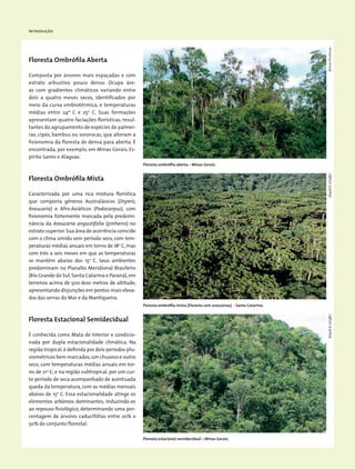 Introdução
Floresta Ombrófila Aberta
Composta por árvores mais espaçadas e com
estrato arbustivo pouco denso. Ocupa áre-
as com gradientes climáticos variando entre
dois a quatro meses secos, identificados por
meio da curva ombrotérmica, e temperaturas
médias entre 24º C e 25o
C. Suas formações
apresentam quatro faciações florísticas, resul-
tantes do agrupamento de espécies de palmei-
ras, cipós, bambus ou sororocas, que alteram a
fisionomia da floresta de densa para aberta. É
encontrada, por exemplo, em Minas Gerais, Es-
pírito Santo e Alagoas.
Floresta Ombrófila Mista
Caracterizada por uma rica mistura florística
que comporta gêneros Australásicos (Drymis,
Araucaria) e Afro-Asiáticos (Podocarpus), com
fisionomia fortemente marcada pela predomi-
nância da Araucaria angustifolia (pinheiro) no
estrato superior.Sua área de ocorrência coincide
com o clima úmido sem período seco, com tem-
peraturas médias anuais em torno de 18o
C, mas
com três a seis meses em que as temperaturas
se mantêm abaixo dos 15o
C. Seus ambientes
predominam no Planalto Meridional Brasileiro
(Rio Grande do Sul,Santa Catarina e Paraná),em
terrenos acima de 500-600 metros de altitude,
apresentando disjunções em pontos mais eleva-
dos das serras do Mar e da Mantiqueira.
Floresta Estacional Semidecidual
É conhecida como Mata de Interior e condicio-
nada por dupla estacionalidade climática. Na
região tropical,é definida por dois períodos plu-
viométricos bem marcados,um chuvoso e outro
seco, com temperaturas médias anuais em tor-
no de 21o
C; e na região subtropical, por um cur-
to período de seca acompanhado de acentuada
queda da temperatura, com as médias mensais
abaixo de 15o
C. Essa estacionalidade atinge os
elementos arbóreos dominantes, induzindo-os
ao repouso fisiológico, determinando uma por-
centagem de árvores caducifólias entre 20% e
50% do conjunto florestal.
Floresta ombrófila aberta – Minas Gerais.
Floresta ombrófila mista (Floresta com araucárias) - Santa Catarina.
Floresta estacional semidecidual – Minas Gerais.
WigoldB.SchafferWigoldB.SchafferMiriamProchnow
 