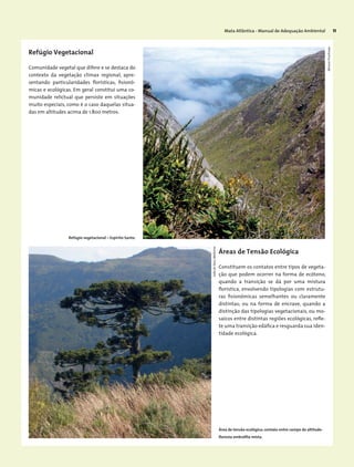 Mata Atlântica - Manual de Adequação Ambiental 11
Refúgio Vegetacional
Comunidade vegetal que difere e se destaca do
contexto da vegetação clímax regional, apre-
sentando particularidades florísticas, fisionô-
micas e ecológicas. Em geral constitui uma co-
munidade relictual que persiste em situações
muito especiais, como é o caso daquelas situa-
das em altitudes acima de 1.800 metros.
Refúgio vegetacional – Espírito Santo.
Área de tensão ecológica: contato entre campo de altitude-
floresta ombrófila mista.
MiriamProchnow
JoãodeDeusMedeiros
Áreas de Tensão Ecológica
Constituem os contatos entre tipos de vegeta-
ção que podem ocorrer na forma de ecótono,
quando a transição se dá por uma mistura
florística, envolvendo tipologias com estrutu-
ras fisionômicas semelhantes ou claramente
distintas; ou na forma de encrave, quando a
distinção das tipologias vegetacionais, ou mo-
saicos entre distintas regiões ecológicas, refle-
te uma transição edáfica e resguarda sua iden-
tidade ecológica.
 