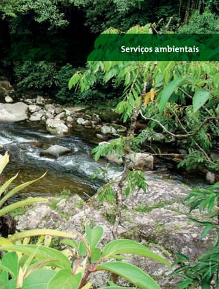 Mata Atlântica - Manual de Adequação Ambiental 13
Serviços ambientais
WigoldB.Schaffer
 
