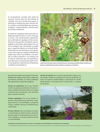 Mata Atlântica - Manual de Adequação Ambiental 15
A regulação da composição química dos oceanos e a manutenção do ciclo hidrológico são importantes serviços ambientais.
As consequências causadas pela perda da
natureza, muitas vezes não são notadas de
imediato, mas são extremamente graves. A
alteração ou redução das áreas naturais afe-
ta a própria sustentabilidade dos processos
ecológicos, comprometendo o fornecimento
dos serviços ambientais.
Os processos ecológicos fazem parte das re-
lações das espécies entre si e com o meio que
as cerca e são extremamente importantes,
pois a alteração em qualquer elo do ecossis-
tema tem consequência nos demais. Sua fra-
gilidade se dá porque cada espécie tem um
nicho ecológico, que corresponde ao papel
que o organismo (planta ou animal) desen-
volve dentro de um ecossistema. Isso signifi-
ca que não é apenas o espaço utilizado pela
espécie que conta, mas também a sua posi-
ção na cadeia alimentar e sua relação com
os fatores ambientais, que correspondem à
área ideal para a ocorrência da espécie den-
tro do gradiente ambiental de temperatura,
umidade, luminosidade etc.
A polinização feita pelos insetos é fundamental para a manutenção da biodiversidade e também para
garantir a produtividade de espécies utilizadas na agricultura e fruticultura.
JoãodeDeusMedeirosMiriamProchnow
DeacordocomoMileniumEcossystemAssessment
(Relatório das Nações Unidas sobre o estado dos
ecossistemas mundiais), os serviços ambientais
são organizados nas seguintes categorias1
:
Serviços de suprimento: são os que resultam
em bens ou produtos ambientais com valor eco-
nômico,obtidos diretamente pelo uso e manejo
sustentável dos ecossistemas, como alimentos,
água e produtos florestais.
Serviços regulatórios: são os que mantêm os
processos ecossistêmicos que garantem a regu-
lação do clima, o ciclo hidrológico, a redução da
erosão, o combate a doenças e contribuem para
a polinização.
Serviços culturais: são os associados aos valores
e manifestações da cultura humana, derivados
da preservação ou conservação dos recursos na-
turais. Englobam a recreação, as belezas cênicas
e a espiritualidade.
Serviços de suporte: são os serviços que garantem todos os ou-
tros porque mantêm as condições dos recursos ambientais na-
turais, em especial a biodiversidade, a conservação da variabi-
lidade genética, a formação de solo, a fotossíntese e a ciclagem
de nutrientes.
1
Essa categorização também é utilizada no Projeto de Lei que Institui a Política Nacional dos Serviços Ambientais no Brasil e que se encontra em tramitação no Congresso Nacional.
 
