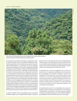 Capítulo 1 - Serviços ambientais
Os mercados de remuneração da fixação ou redução de emissões
de carbono também estão se consolidando rapidamente, bene-
ficiando proprietários ou instituições que recuperam áreas alte-
radas da Mata Atlântica ou que evitam que áreas de vegetação
nativa sejam desmatadas. Um exemplo é o projeto da Sociedade
de Pesquisa em Vida Selvagem e Educação Ambiental (SPVS), de-
senvolvido em parceria com a organização não-governamental
The Nature Conservancy (TNC) e com empresas do setor elétri-
co e de automóveis, através do qual foi adquirida uma área de
aproximadamente 19.000 hectares na região da Serra do Mar no
Paraná, que está sendo conservada. Além da captura de carbo-
no, que contribui para a minimização dos efeitos das mudanças
climáticas, as áreas protegidas pela SPVS geram diversos outros
serviços ambientais, dentre os quais se destacam: a manutenção
da diversidade biológica de plantas e animais; a manutenção da
qualidade de ecossistemas e dos processos ecológicos da região;
o fornecimento de água de qualidade para abastecimento da po-
pulação urbana de Antonina (18 mil pessoas) e comunidades de
Ilha Rasa (600 pessoas), que captam água nas reservas da SPVS.
Já existem, também, formas de pagamento pela conservação
da biodiversidade, como o programa Bolsa Verde no Estado de
Minas Gerais. A conservação da beleza cênica da Mata Atlântica
também começa a ser valorizada como serviço ambiental, como
no sul da Bahia, onde proprietários de hoteis remuneram agri-
cultores que conservam fragmentos da Mata Atlântica, reconhe-
cendo-os como atrativos para incrementar o turismo.
A importância do conceito do pagamento por serviços am-
bientais está na mudança de paradigma, onde estes deixam
de ser percebidos como infinitos e gratuitos e passam a ser
valorados de forma econômica. Já se sabe que esses serviços
ambientais, se não forem adequadamente protegidos, dimi-
nuem e geram inúmeras e graves consequências ao ser huma-
no. Nesse sentido, uma das formas de garantir os serviços am-
bientais no longo prazo é reconhecer o seu valor econômico
e, dessa forma, poder remunerar aqueles que ajudam na sua
conservação ou recuperação.
O reconhecimento do valor e da importância dos serviços am-
bientais e todos os esforços que visam garantir a conservação ou
recuperação dos ecossistemas e dos seus processos ecológicos
associados são fundamentais para o futuro da Mata Atlântica e
da qualidade de vida dos brasileiros que vivem nessa região.
Além de manter a biodiversidade de plantas e animais, proteger o solo e a água, as florestas capturam
carbono da atmosfera, minimizando os efeitos das mudanças climáticas.
MiriamProchnow
 