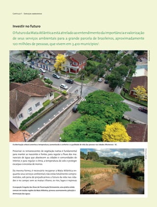 Capítulo 1 - Serviços ambientais
Investir no futuro
Preservar os remanescentes de vegetação nativa é fundamental
para manter as nascentes e fontes, para regular o fluxo dos ma-
nanciais de água que abastecem as cidades e comunidades do
interior, e para regular o clima, a temperatura do solo e proteger
escarpas e encostas de morros.
Da mesma forma, é necessário recuperar a Mata Atlântica en-
quanto seus serviços ambientais não estão totalmente compro-
metidos, sob pena de prejudicarmos o futuro da vida nas cida-
des e no campo: sem as matas ciliares, os rios, lagos e represas
OfuturodaMataAtlânticaestáatreladoaoentendimentodaimportânciae­valorização
de seus serviços ambientais para a grande parcela de brasileiros, ­aproximadamente
120 milhões de pessoas, que vivem em 3.410 municípios7
.
A arborização urbana ameniza a temperatura, aumentando o conforto e a qualidade de vida das pessoas nas cidades. Blumenau - SC.
A ocupação irregular das Áreas de Preservação Permanente, uma prática ainda
comum em muitas regiões da Mata Atlântica, provoca assoreamento, poluição e
diminuição das águas.
MiriamProchnow
MiriamProchnow
 