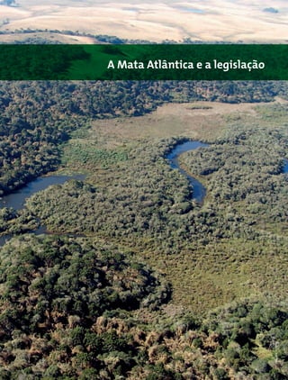 Mata Atlântica - Manual de Adequação Ambiental 27
A Mata Atlântica e a legislação
WigoldB.Schaffer
 