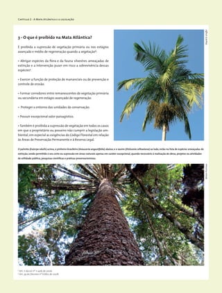 Capítulo 2 - A Mata Atlântica e a legislação
É proibida a supressão de vegetação primária ou nos estágios
avançado e médio de regeneração quando a vegetação8
:
• Abrigar espécies da flora e da fauna silvestres ameaçadas de
extinção e a intervenção puser em risco a sobrevivência dessas
espécies9
.
• Exercer a função de proteção de mananciais ou de prevenção e
controle de erosão.
• Formar corredores entre remanescentes de vegetação primária
ou secundária em estágio avançado de regeneração.
• Proteger o entorno das unidades de conservação.
• Possuir excepcional valor paisagístico.
•Também é proibida a supressão de vegetação em todos os casos
em que o proprietário ou posseiro não cumprir a legislação am-
biental, em especial as exigências do Código Florestal em relação
às Áreas de Preservação Permanente e à Reserva Legal.
8
Art. 11 da Lei nº 11.428, de 2006.
9
Art. 39 do Decreto nº 6.660, de 2008.
3 - O que é proibido na Mata Atlântica?
O palmito (Euterpe edulis) acima, o pinheiro-brasileiro (Araucaria angustifolia) abaixo, e o xaxim (Dicksonia sellowiana) ao lado, estão na lista de espécies ameaçadas de
extinção, sendo permitido o seu corte ou supressão em áreas naturais apenas em caráter excepcional, quando necessário à realização de obras, projetos ou atividades
de utilidade pública, pesquisas científicas e práticas preservacionistas.
WigoldB.SchafferMiriamProchnow
 