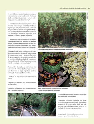 Mata Atlântica - Manual de Adequação Ambiental 39
* É permitido o corte e exploração comercial de
espécies nativas comprovadamente plantadas,
desde que estejam cadastradas e tenham auto-
rização de corte do órgão ambiental13
.
* É permitida a exploração de espécies nativas
pioneiras em vegetação em estágio médio de
regeneração com presença superior a 60% em
relação às demais espécies do fragmento flores-
tal14
. O corte ou exploração deve ser autorizado
e as espécies que podem ser exploradas estão
definidas na Portaria MMA no
51, de 2009.
* É permitido o corte ou supressão de vegeta-
ção em estágio inicial de regeneração - e para o
pousio - em áreas de até 2 hectares por ano,me-
diante procedimento simplificado para peque-
nos produtores rurais e população tradicional15
.
* É livre a coleta de folhas,frutos e sementes,des-
de que observados os períodos de coleta e época
de maturação dos frutos e sementes. É permiti-
da também a prática do extrativismo sustentá-
vel por intermédio da condução de espécies na-
tivas produtoras de folhas, frutos ou sementes,
visando a produção e comercialização16
.
*As seguintes atividades de uso indireto não
necessitam de autorização dos órgãos ambien-
tais, observadas as regras específicas relativas
às Áreas de Preservação Permanente17
:
- abertura de pequenas vias e corredores de
acesso;
- implantação de trilhas para desenvolvimento
de ecoturismo;
- implantação de aceiros para prevenção e com-
bate a incêndios florestais;
- construção e manutenção de cercas ou pica-
das de divisa de propriedades;
- pastoreio extensivo tradicional em rema-
nescentes de campos de altitude, nos estágios
secundários de regeneração, desde que não
promova supressão da vegetação nativa ou in-
trodução de espécies vegetais exóticas.
WigoldB.SchafferMiriamProchnow
MiriamProchnow
A bracatinga (Mimosa scabrella) é uma espécie pioneira da Mata Atlântica.
Pinhão, semente do pinheiro-brasileiro (Araucaria angustifolia)
e marcela-do-campo (Achyrocline satureioides).
A implantação de trilhas para o desenvolvimento do
ecoturismo é permitida na Mata Atlântica.
 