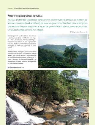 Capítulo 3 - A importância da paisagem no planejamento
Áreas protegidas públicas e privadas
Além de permitir a sobrevivência dos animais
e plantas, essas áreas contribuem para regu-
lar o clima, abastecer os mananciais de água e
proporcionar qualidade de vida às populações
humanas. No Brasil, existem dois tipos de áreas
protegidas: as públicas e as privadas ou parti-
culares.
Dentre as áreas protegidas particulares, temos
as Reservas Particulares do Patrimônio Natural
(RPPNs), que existem devido à impossibilidade
de criação de reservas públicas em todos os lu-
gares. A iniciativa de criação de uma RPPN é do
proprietário de terras, podendo abranger total
ou parcialmente o imóvel.
As áreas protegidas são criadas para garantir a sobrevivência de todas as espécies de
animais e plantas (biodiversidade), os recursos genéticos e também para proteger os
processos ecológicos essenciais e locais de grande beleza cênica, como montanhas,
serras, cachoeiras, cânions, rios e lagos.
IumaãBaccaMiriamProchnow
RPPN Bugerkopf em Blumenau – SC.
APA da Serra de Maranguape – CE.
 