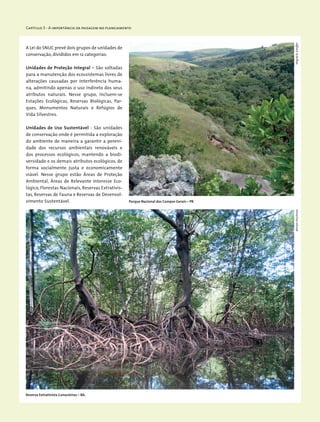 Capítulo 3 - A importância da paisagem no planejamento
A Lei do SNUC prevê dois grupos de unidades de
conservação, divididos em 12 categorias:
Unidades de Proteção Integral – São voltadas
para a manutenção dos ecossistemas livres de
alterações causadas por interferência huma-
na, admitindo apenas o uso indireto dos seus
atributos naturais. Nesse grupo, incluem-se
Estações Ecológicas, Reservas Biológicas, Par-
ques, Monumentos Naturais e Refúgios de
Vida Silvestres.
Unidades de Uso Sustentável - São unidades
de conservação onde é permitida a exploração
do ambiente de maneira a garantir a pereni-
dade dos recursos ambientais renováveis e
dos processos ecológicos, mantendo a biodi-
versidade e os demais atributos ecológicos, de
forma socialmente justa e economicamente
viável. Nesse grupo estão Áreas de Proteção
Ambiental, Áreas de Relevante Interesse Eco-
lógico, Florestas Nacionais, Reservas Extrativis-
tas, Reservas de Fauna e Reservas de Desenvol-
vimento Sustentável. Parque Nacional dos Campos Gerais – PR.
Reserva Extrativista Canavieiras – BA.
MiriamProchnowWigoldB.Schaffer
 