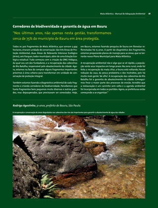 Corredores de biodiversidade e garantia de água em Bauru
Todos os 300 fragmentos de Mata Atlântica, que somam 5.959
hectares, viraram unidade de conservação. São três Áreas de Pro-
teção Ambiental, duas Áreas de Relevante Interesse Ecológico
(Aries),seis Parques,todos municipais,além de uma Estação Eco-
lógica estadual. Tudo começou com a criação da ONG Vidágua,
da qual sou um dos fundadores, e a recuperação das cabeceiras
do Rio Batalha, responsável pelo abastecimento da cidade. Ago-
ra, estamos na fase de comprar alguns fragmentos importantes
próximos à área urbana para transformar em unidade de con-
servação de proteção integral.
Também estamos fazendo o diagnóstico ambiental de cada frag-
mento e criando corredores de biodiversidade. Percebemos que
havia fragmentos bem pequenos muito diversos e outros gran-
des, mas depauperados, que precisavam ser conectados. Hoje,
em Bauru, estamos fazendo pesquisa de fauna em florestas re-
florestadas há 15 anos. A partir do diagnóstico dos fragmentos,
estamos preparando planos de manejo para as áreas, que se tor-
narão nosso Plano Municipal para Mata Atlântica.
A recuperação ambiental não é algo que se vê rápido, a popula-
ção sente seus impactos em longo prazo. Na zona rural, onde foi
feita a recuperação da mata ciliar, a fauna está voltando, houve
redução da caça, da pesca predatória e dos incêndios, pois há
muito mais gente ‘de olho’. A recuperação das cabeceiras do Rio
Batalha foi a garantia de abastecimento na cidade. Consegui-
mos frear a maior parte dos processos de erosão. Acredito que
a restauração é um caminho sem volta e a agenda ambiental
foi incorporada em todos os partidos. Agora,as prefeituras estão
começando a se organizar.”
“Nos últimos anos, não apenas nesta gestão, transformamos
cerca de 75% do município de Bauru em área protegida.
Rodrigo Agostinho, 31 anos, prefeito de Bauru, São Paulo.
Mata Atlântica - Manual de Adequação Ambiental 61
A recuperação e conservação de áreas degradadas nas cabeceiras dos rios são importantes para garantir o abastecimento de água das cidades.
WigoldB.Schaffer
 