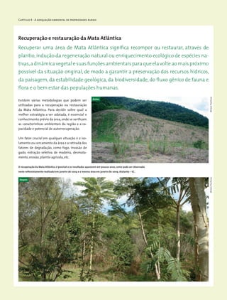 Capítulo 4 - A adequação ambiental de propriedades rurais
Recuperação e restauração da Mata Atlântica
Existem várias metodologias que podem ser
utilizadas para a recuperação ou restauração
da Mata Atlântica. Para decidir sobre qual a
melhor estratégia a ser adotada, é essencial o
conhecimento prévio da área, onde se verificam
as características ambientais da região e a ca-
pacidade e potencial de autorrecuperação.
Um fator crucial em qualquer situação é o iso-
lamento ou cercamento da área e a retirada dos
fatores de degradação, como fogo, invasão de
gado, extração seletiva de madeira, desmata-
mento, erosão, plantio agrícola, etc.
Recuperar uma área de Mata Atlântica significa recompor ou restaurar, através de
plantio, indução da regeneração natural ou enriquecimento ecológico de espécies na-
tivas,a dinâmica vegetal e suas funções ambientais para que ela volte ao mais próximo
possível da situação original, de modo a garantir a preservação dos recursos hídricos,
da paisagem, da estabilidade geológica, da biodiversidade, do fluxo gênico de fauna e
flora e o bem estar das populações humanas.
A recuperação da Mata Atlântica é possível e os resultados aparecem em poucos anos, como pode ser observado
neste reflorestamento realizado em janeiro de 2004 e a mesma área em janeiro de 2009. Atalanta – SC.
Antes
Depois
MiriamProchnowMiriamProchnow
 