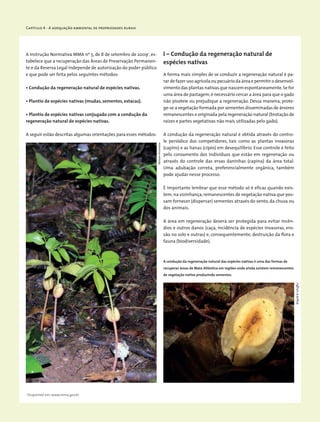 I – Condução da regeneração natural de
espécies nativas
A forma mais simples de se conduzir a regeneração natural é pa-
rar de fazer uso agrícola ou pecuário da área e permitir o desenvol-
vimento das plantas nativas que nascem espontaneamente.Se for
uma área de pastagem,é necessário cercar a área para que o gado
não pisoteie ou prejudique a regeneração. Dessa maneira, prote-
ge-se a vegetação formada por sementes disseminadas de árvores
remanescentes e originada pela regeneração natural (brotação de
raízes e partes vegetativas não mais utilizadas pelo gado).
A condução da regeneração natural é obtida através do contro-
le periódico dos competidores, tais como as plantas invasoras
(capins) e as lianas (cipós) em desequilíbrio. Esse controle é feito
pelo coroamento dos indivíduos que estão em regeneração ou
através do controle das ervas daninhas (capina) da área total.
Uma adubação correta, preferencialmente orgânica, também
pode ajudar nesse processo.
É importante lembrar que esse método só é eficaz quando exis-
tem,na vizinhança,remanescentes de vegetação nativa que pos-
sam fornecer (dispersar) sementes através do vento, da chuva ou
dos animais.
A área em regeneração deverá ser protegida para evitar incên-
dios e outros danos (caça, incidência de espécies invasoras, ero-
são no solo e outras) e, consequentemente, destruição da flora e
fauna (biodiversidade).
Capítulo 4 - A adequação ambiental de propriedades rurais
1
Disponível em: www.mma.gov.br
A Instrução Normativa MMA nº 5, de 8 de setembro de 20091
, es-
tabelece que a recuperação das Áreas de Preservação Permanen-
te e da Reserva Legal independe de autorização do poder público
e que pode ser feita pelos seguintes métodos:
• Condução da regeneração natural de espécies nativas.
• Plantio de espécies nativas (mudas, sementes, estacas).
• Plantio de espécies nativas conjugado com a condução da
­regeneração natural de espécies nativas.
A seguir estão descritas algumas orientações para esses métodos:
A condução da regeneração natural das espécies nativas é uma das formas de
recuperar áreas de Mata Atlântica em regiões onde ainda existem remanescentes
de vegetação nativa produzindo sementes.
MiriamProchnow
WigoldB.Schaffer
 