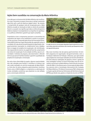 Capítulo 4 - A adequação ambiental de propriedades rurais
Ações bem sucedidas na conservação da Mata Atlântica
Já se sabe que os remanescentes da Mata Atlântica são insuficien-
tes e que é necessário recuperar áreas para se atingir novamente
algo entre 35% e 40% de cobertura vegetal nativa. No entanto,
o cumprimento de qualquer meta de recuperação para a Mata
Atlântica só pode ser alcançado se todos os setores da sociedade
fizerem a sua parte. Isso significa que todas as esferas de governo
(federal,estadual e municipal) devem se empenhar em aperfeiço-
ar as políticas ambientais e garantir que sejam cumpridas.
Proprietários rurais e empresários precisam se conscientizar da
importância de seguir as leis ambientais e investir na recupera-
ção de suas áreas,começando pelas Áreas de Preservação Perma-
nente (APPs) e Reservas Legais desprovidas de vegetação nativa.A
sociedade civil,seja através da participação de organizações não-
governamentais, associações ou simplesmente como cidadãos,
deve se engajar em projetos de recuperação e de reivindicação,
não esquecendo de exercer seu papel de fiscal do cumprimento
das metas de recuperação. À comunidade científica, seja em uni-
versidade e institutos de pesquisa, cabe desenvolver e difundir
técnicas que possam facilitar,baratear e garantir a qualidade dos
projetos de recuperação e conservação.
No rastro dessa diversidade de papéis, algumas oportunidades
têm sido colocadas para facilitar e reconhecer os esforços que
vêm sendo realizados em prol da recuperação da Mata Atlânti-
ca. Entre eles, há vários programas governamentais, incentivos
fiscais, como o ICMS Ecológico e o surgimento ou valorização de
muitas atividades econômicas que propiciam ou são voltadas
para a conservação ambiental.
Mas esses incentivos não são apenas governamentais. Há tam-
bém programas de organizações não-governamentais, como a
Fundação O Boticário de Proteção à Natureza, que apoia desde
1990 projetos de conservação realizados por terceiros,benefician-
do assim diversas instituições de pesquisa, ensino e gestão de
áreas protegidas no Brasil. Já foram financiadas mais de mil ini-
ciativas,mais de 400 na Mata Atlântica.Outra linha de incentivos
vinda de ONGs é o da Aliança para a Conservação da Mata Atlân-
tica, parceria entre a Conservação Internacional (CI), Fundação
SOS Mata Atlântica e The Nature Conservancy (TNC),voltada para
a criação e gestão de Reservas Particulares do Patrimônio Natural
(RPPNs), que desde 2003, apoiou a criação de cerca de 100 RPPNs.
Criar Unidades de Conservação é uma das ações prioritárias para a Mata Atlântica. Parque Nacional da Serra da Bocaina – RJ.
Em 1998, esta área era uma pastagem degradada. Depois do plantio de 20.000 ár-
vores nativas, hoje existe uma floresta e até a nascente, que desaparecera, voltou
a ter água de forma perene.
MiriamProchnowMiriamProchnow
 