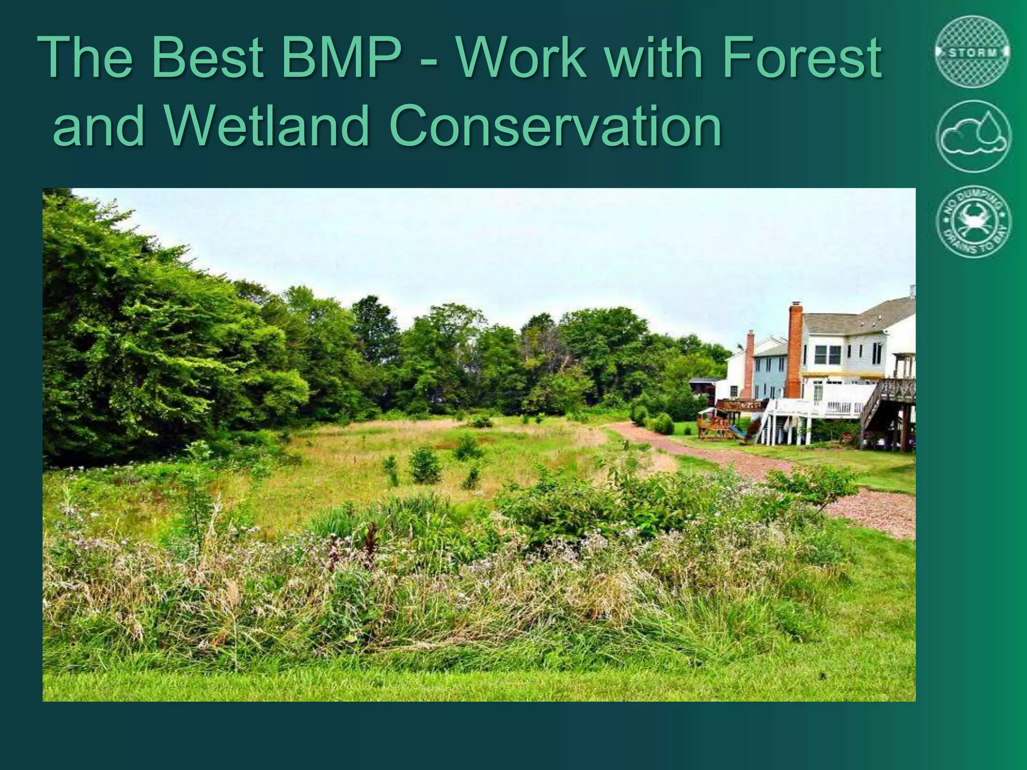 The Best BMP - Work with Forest
and Wetland Conservation
 