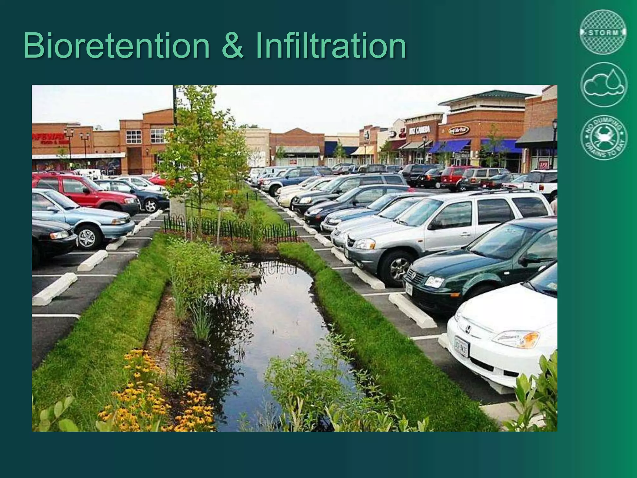 Bioretention & Infiltration
 