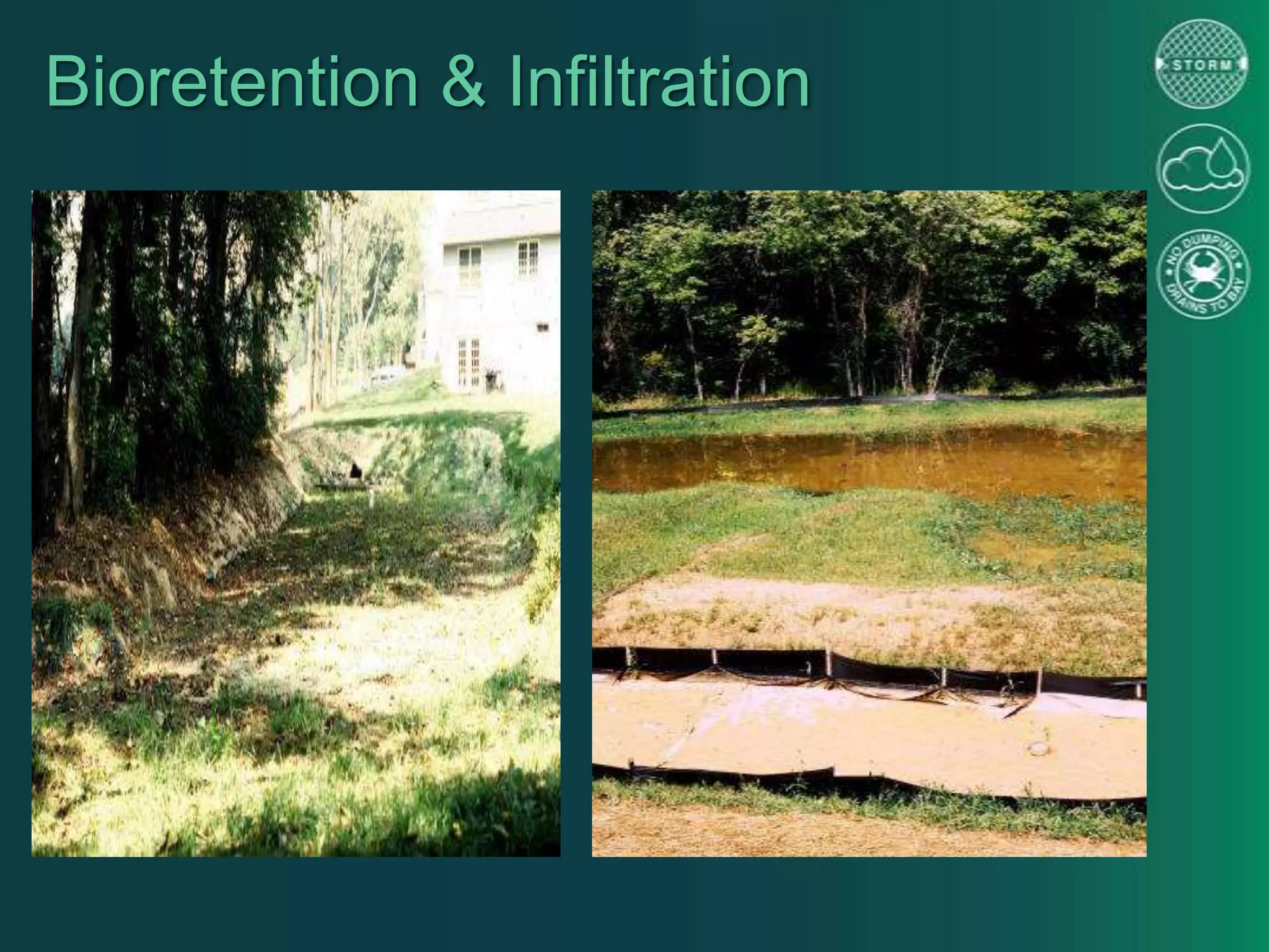 Bioretention & Infiltration
 