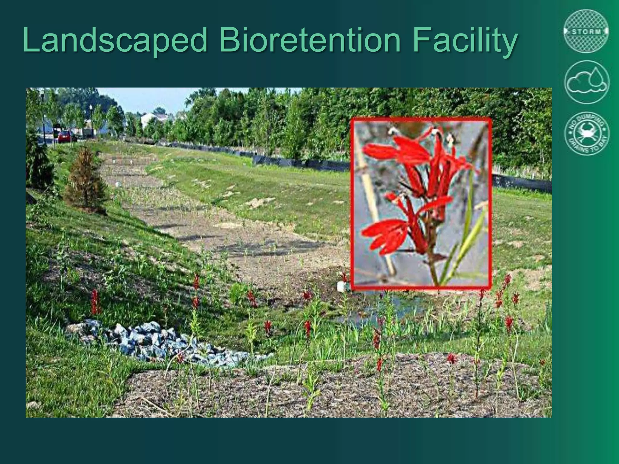 Landscaped Bioretention Facility
 