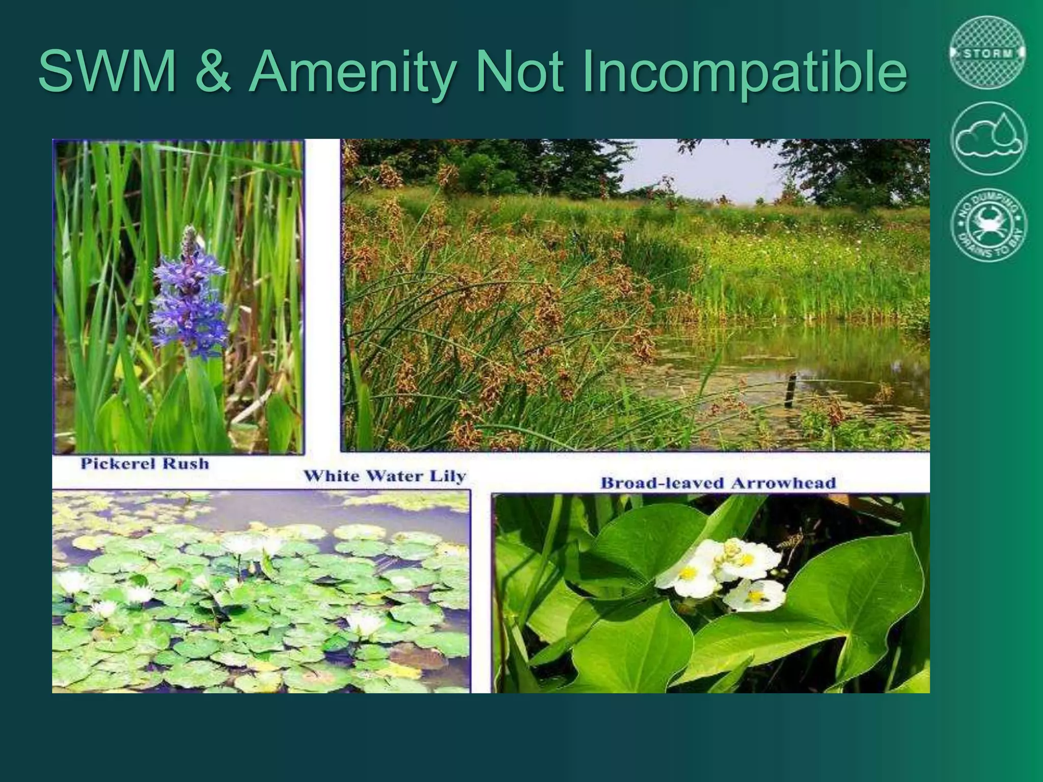 SWM & Amenity Not Incompatible
 