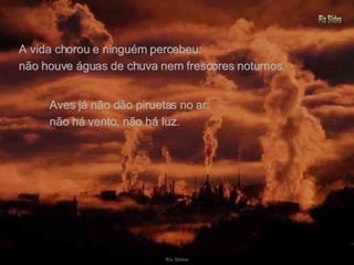 A vida chorou e ninguém percebeu: Aves já não dão piruetas no ar: não houve águas de chuva nem frescores noturnos. não há vento, não há luz. 