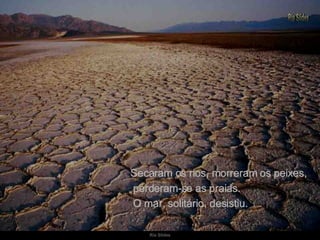 Secaram os rios, morreram os peixes, perderam-se as praias. O mar, solitário, desistiu. 