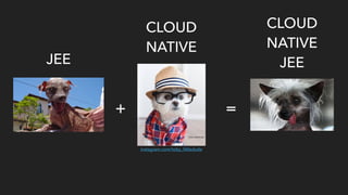 JEE
CLOUD 
NATIVE
+ =
CLOUD 
NATIVE 
JEE
instagram.com/toby_littledude
 