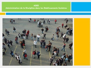 ADES Administration de la Discipline dans les Etablissements Scolaires 