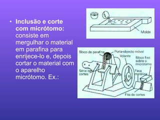 • Inclusão e corte
com micrótomo:
consiste em
mergulhar o material
em parafina para
enrijece-lo e, depois
cortar o material com
o aparelho
micrótomo. Ex.:
 