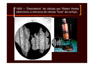 A descoberta da celula 2015 | PDF