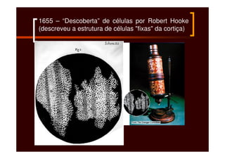 1655 – “Descoberta” de células por Robert Hooke
(descreveu a estrutura de células "fixas" da cortiça)
 