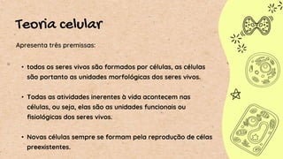 Teoria celular
• todos os seres vivos são formados por células, as células
são portanto as unidades morfológicas dos seres vivos.
• Todas as atividades inerentes à vida acontecem nas
células, ou seja, elas são as unidades funcionais ou
fisiológicas dos seres vivos.
• Novas células sempre se formam pela reprodução de célas
preexistentes.
Apresenta três premissas:
 