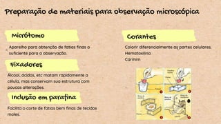 Preparação de materiais para observação microscópica
Micrótomo
Fixadores
Inclusão em parafina
Aparelho para obtenção de fatias finas o
suficiente para a observação.
Álcool, ácidos, etc matam rapidamente a
célula, mas conservam sua estrutura com
poucas alterações.
Facilita o corte de fatias bem finas de tecidos
moles.
Corantes
Colorir diferencialmente as partes celulares.
Hematoxilina
Carmim
 