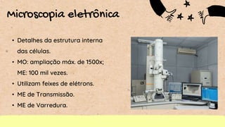 Microscopia eletrônica
• Detalhes da estrutura interna
das células.
• MO: ampliação máx. de 1500x;
ME: 100 mil vezes.
• Utilizam feixes de elétrons.
• ME de Transmissão.
• ME de Varredura.
 