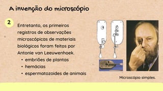 2
A invenção do microscópio
Entretanto, os primeiros
registros de observações
microscópicas de materiais
biológicos foram feitos por
Antonie van Leeuwenhoek.
• embriões de plantas
• hemácias
• espermatozoides de animais
Microscópio simples.
 