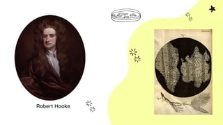 Robert Hooke
 