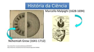 História da Ciência
https://pt.wikipedia.org/wiki/Euglena
Marcello Malpighi (1628-1694)
https://www.flickr.com/photos/internetarchivebookimages/20357285806/
https://www.flickr.com/photos/bibliodyssey/3059405071
Nehemiah Grew (1641-1712)
 
